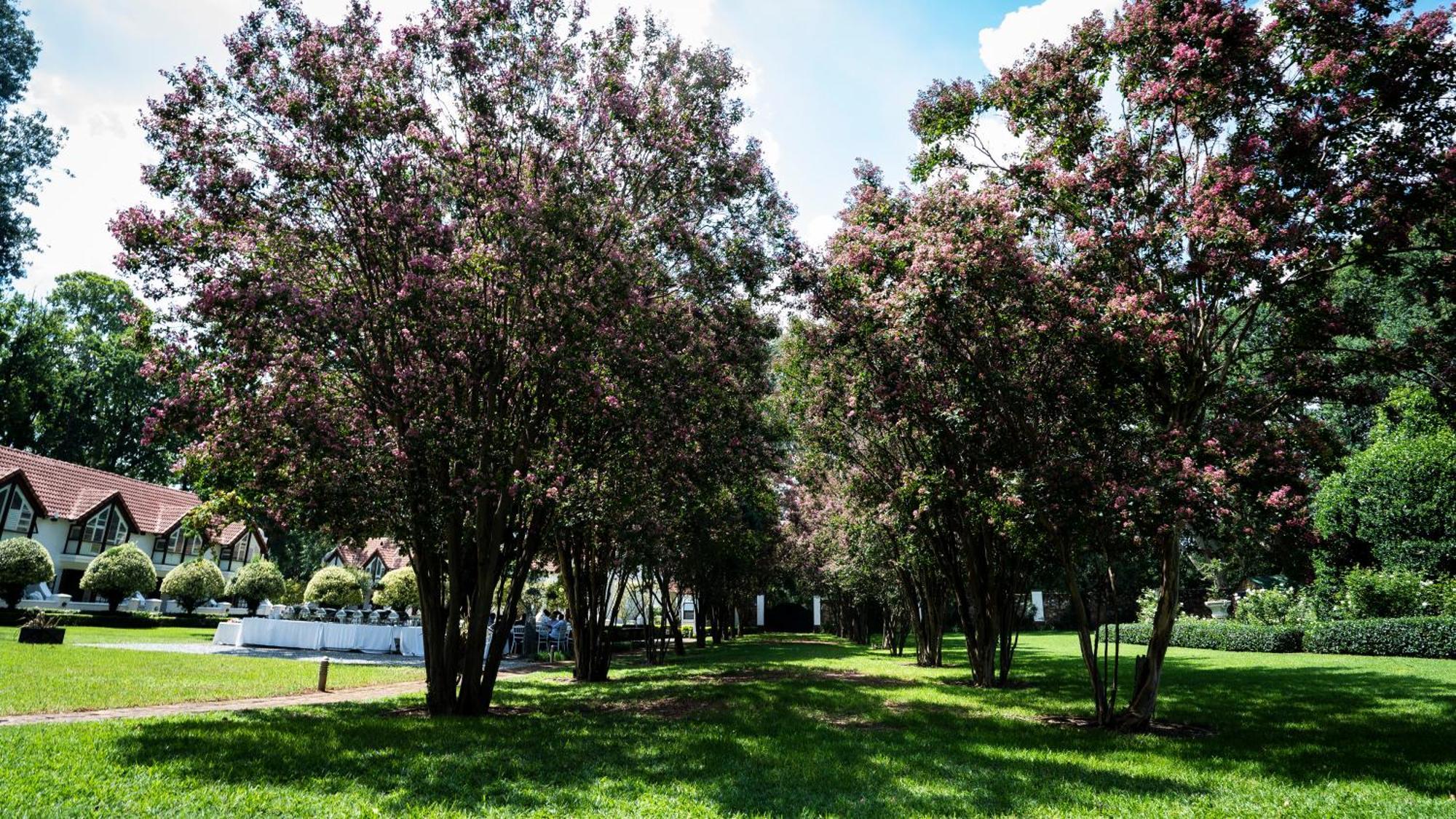 River Meadow Manor Центурион Экстерьер фото